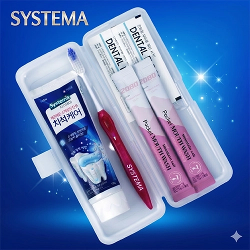 프리미엄 시스테마 치석케어 치약 120g 6 치석케어 칫솔 + 2080 핑크솔트 가글 2개 + 치실 2개