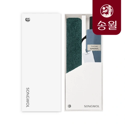 송월 포인트 X 3단 솔리드 반자동