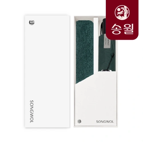 송월 포인트 X 2단 대형