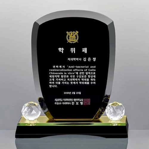 블랙 크리스탈 상패 14호 107-1