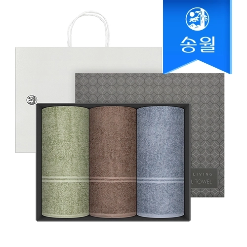 [송월타올] 호텔수건 데일리 데이라인 110g 3p 선물세트(쇼핑백) 기념수건 답례품